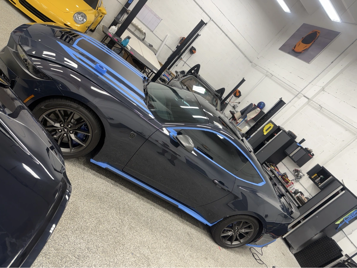 Paint Correction Coconut Grove, FL