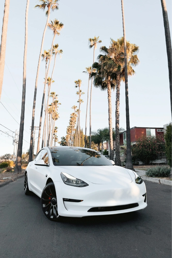 Tesla Paint Protection Film Miami